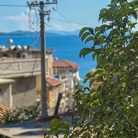 51 Sunny Deluxe * Sarande